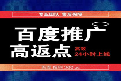 提升网站流量与转化率的关键——关键词竞价排名案例